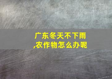 广东冬天不下雨,农作物怎么办呢