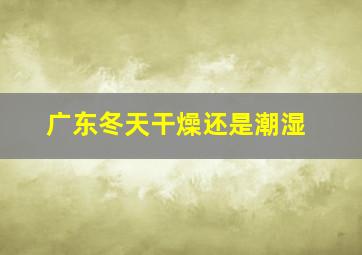 广东冬天干燥还是潮湿