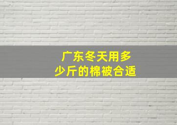 广东冬天用多少斤的棉被合适