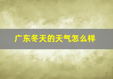 广东冬天的天气怎么样