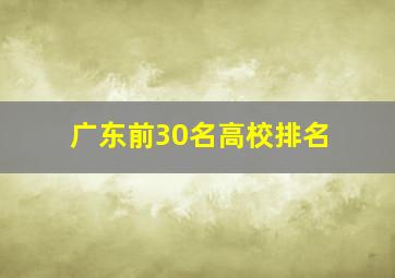 广东前30名高校排名