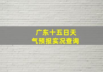 广东十五日天气预报实况查询