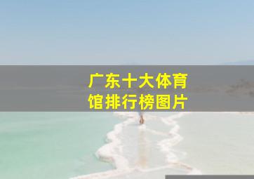 广东十大体育馆排行榜图片