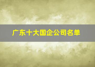 广东十大国企公司名单