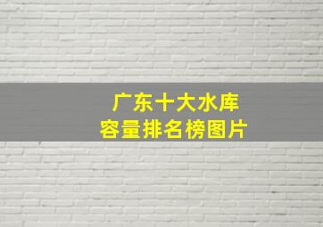 广东十大水库容量排名榜图片