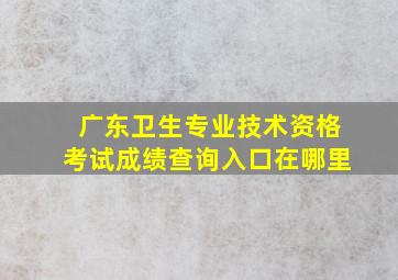 广东卫生专业技术资格考试成绩查询入口在哪里