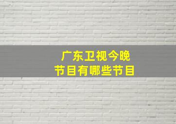 广东卫视今晚节目有哪些节目