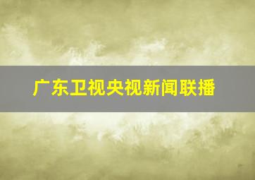 广东卫视央视新闻联播