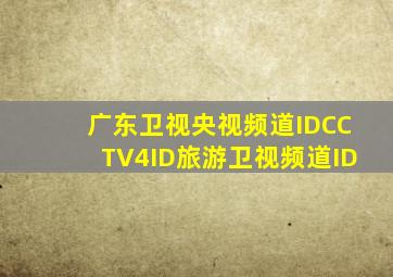 广东卫视央视频道IDCCTV4ID旅游卫视频道ID