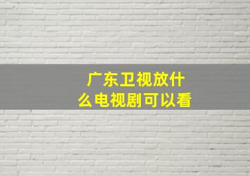 广东卫视放什么电视剧可以看