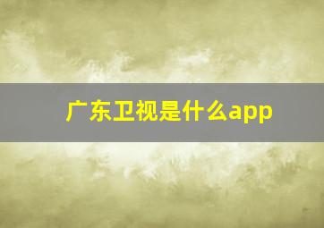 广东卫视是什么app