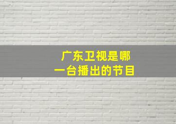 广东卫视是哪一台播出的节目