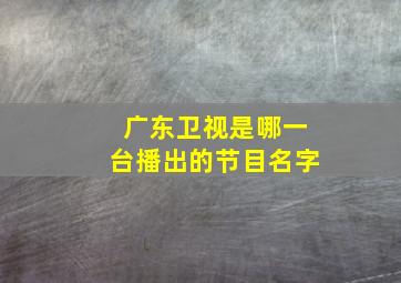 广东卫视是哪一台播出的节目名字