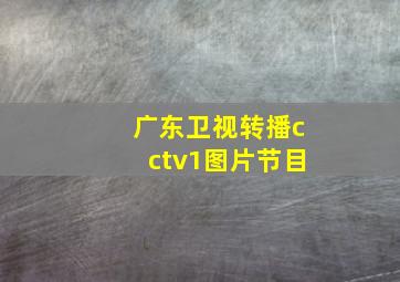 广东卫视转播cctv1图片节目