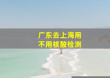 广东去上海用不用核酸检测