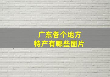 广东各个地方特产有哪些图片