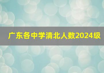 广东各中学清北人数2024级