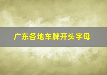 广东各地车牌开头字母