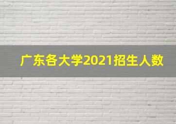 广东各大学2021招生人数