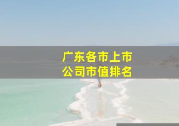 广东各市上市公司市值排名