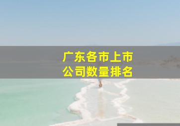 广东各市上市公司数量排名