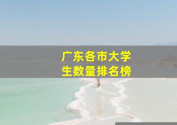 广东各市大学生数量排名榜