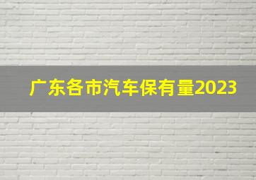 广东各市汽车保有量2023