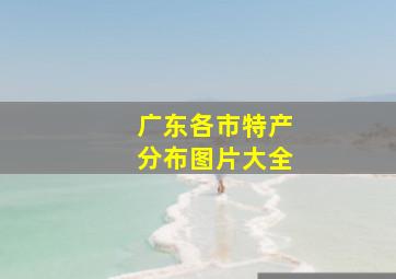 广东各市特产分布图片大全