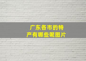 广东各市的特产有哪些呢图片