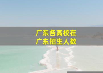 广东各高校在广东招生人数