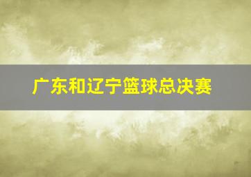 广东和辽宁篮球总决赛