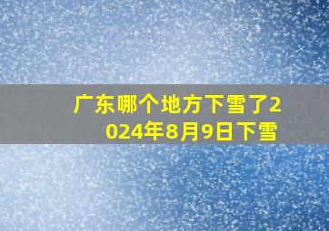 广东哪个地方下雪了2024年8月9日下雪