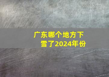 广东哪个地方下雪了2024年份