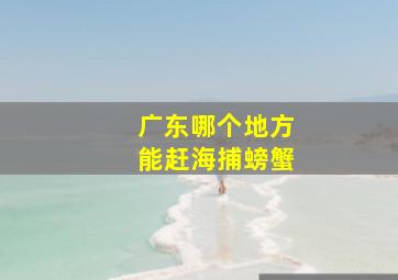 广东哪个地方能赶海捕螃蟹