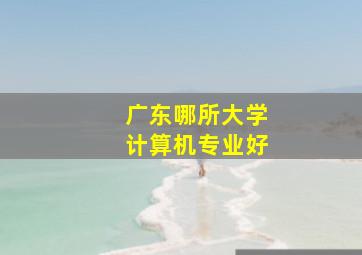 广东哪所大学计算机专业好