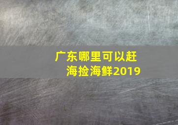 广东哪里可以赶海捡海鲜2019