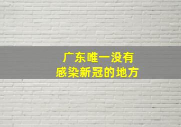 广东唯一没有感染新冠的地方