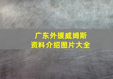 广东外援威姆斯资料介绍图片大全