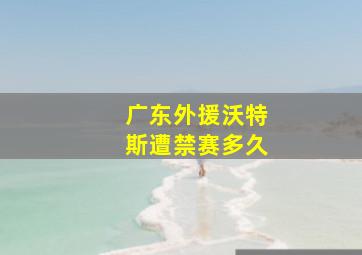 广东外援沃特斯遭禁赛多久