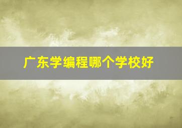 广东学编程哪个学校好