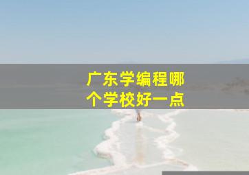 广东学编程哪个学校好一点