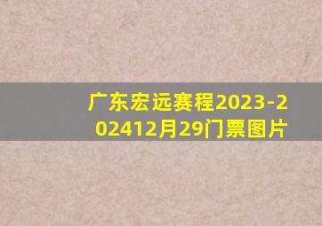 广东宏远赛程2023-202412月29门票图片