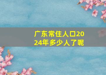 广东常住人口2024年多少人了呢