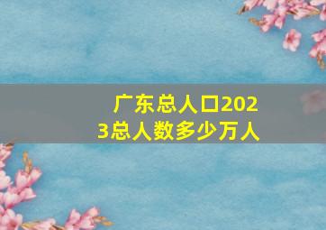 广东总人口2023总人数多少万人