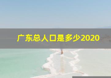 广东总人口是多少2020