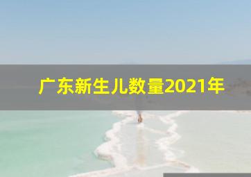 广东新生儿数量2021年