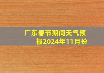 广东春节期间天气预报2024年11月份