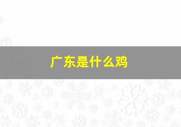 广东是什么鸡