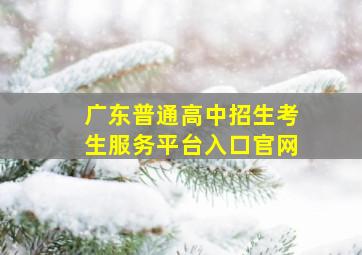 广东普通高中招生考生服务平台入口官网