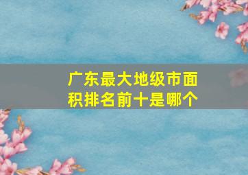 广东最大地级市面积排名前十是哪个